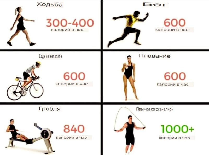 Как сжечь 1000 калорий: 7 способов и сколько времени это займет