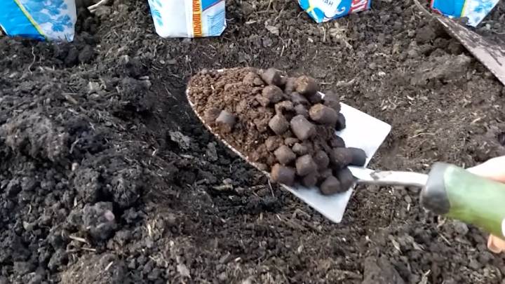 Поместите его в ямку, и огурец внезапно соберется