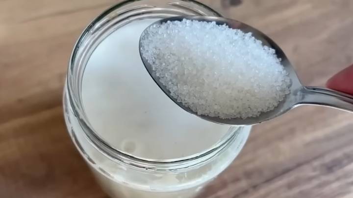 Горсть овсянки спасла мою рассаду! Ствол становится толще на глазах