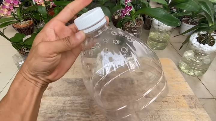 Я получил от соседа увядшую орхидею. Она не могла поверить своим глазам, когда увидела перемену