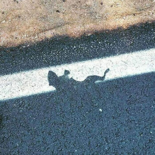 15 смешных и опасных фотографий, которые заставят вас задуматься, почему эти сотрудники до сих пор там работают
