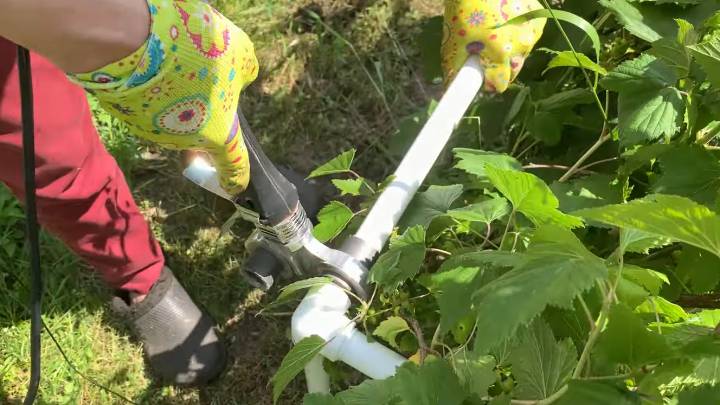 В настоящее время кусты смородины и крыжовника по земле не стелются супер поддержка труб