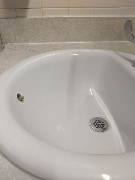 Эти животные удивляют: 18 фотографий дикой природы, которые поднимут вам хорошее настроение