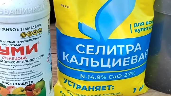 Секрет самых пышных гортензий, о котором знают немногие садоводы! Крепкий куст через 1 месяц