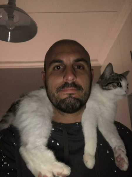 21 забавная фотография кошек в различных ситуациях, которые заставят вас смеяться