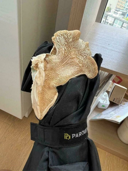 18 забавных фотографий, которые сделают ваш день веселее
