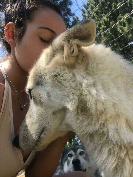18 забавных фотографий, где задний план оказался лучше самой фотографии
