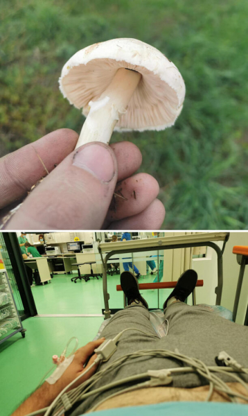 Когда всё идет не так: фотографии, доказывающие, что неудачные дни могут быть смешными