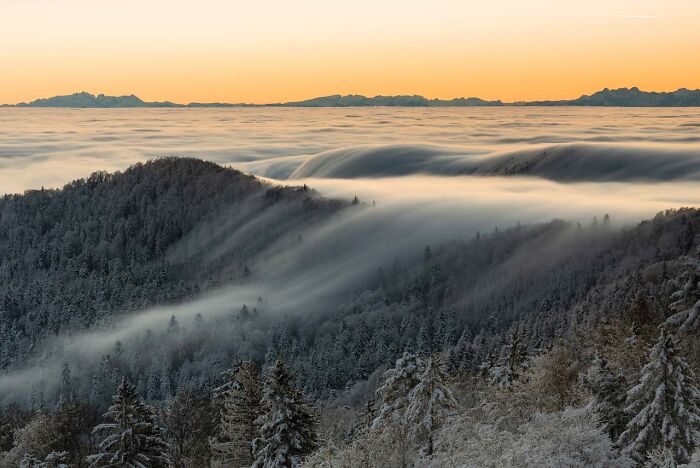 Природа, как она есть: 15 снимков, доказывающих, что она &mdash; лучший художник. Фотографии-победители конкурса &laquo;Фотограф природы года 2024&raquo;