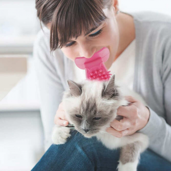 Когда реальность скучает по логике: 15 самых странных фото, которые вызывают вопросы