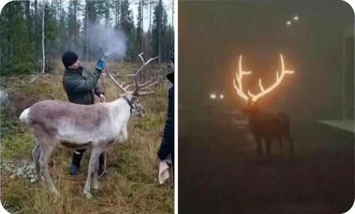 15 странных и необычных вещей, о существовании которых вы, вероятно, не знали