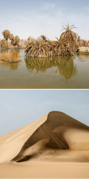 Лучшие фото 2024 от National Geographic: кадры, от которых захватывает дух