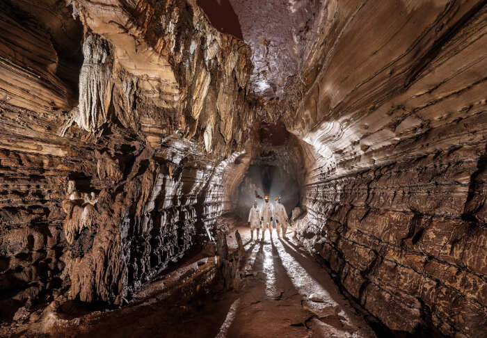 Лучшие фото 2024 от National Geographic: кадры, от которых захватывает дух