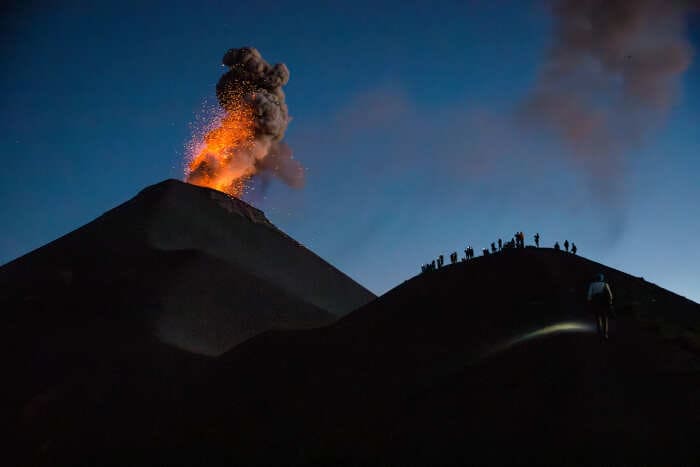 Лучшие фото 2024 от National Geographic: кадры, от которых захватывает дух