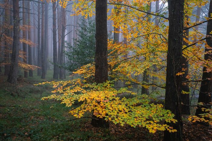 Совпадение? Не думаем! Фотограф Денис Черим раскрывает магию идеальных моментов