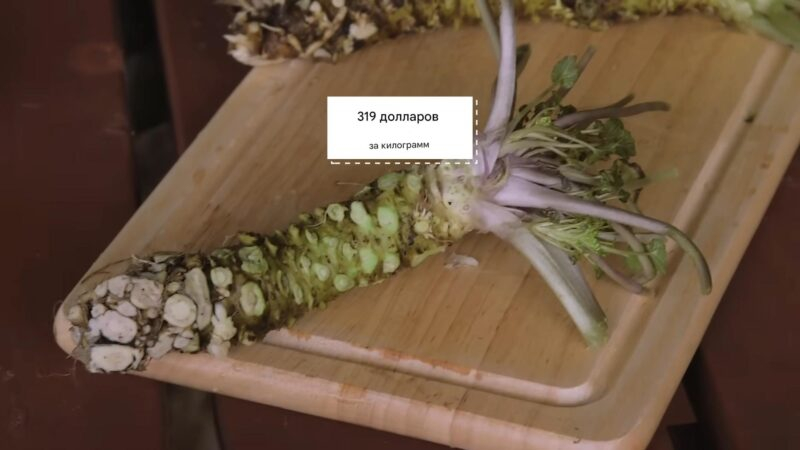 11 самых подделываемых продуктов в мире