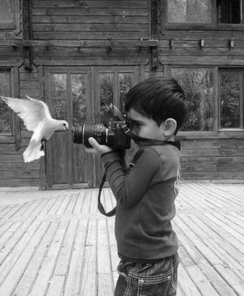 17 захватывающих уличных фотографий, демонстрирующих неожиданные моменты повседневной жизни