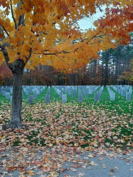 18 действительно запутанных фотографий, которые могут потребовать времени на осознания