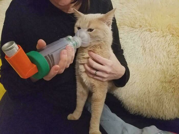 18 действительно запутанных фотографий, которые могут потребовать времени на осознания
