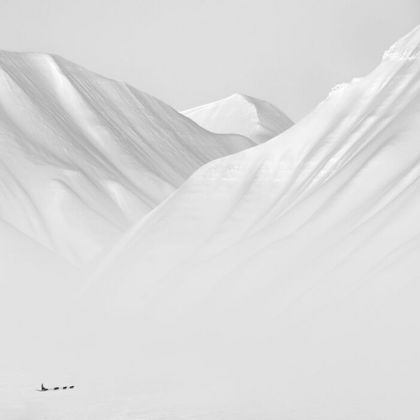 Когда природа решила, что она &ndash; лучший фотограф: 16 фотографий победителей, которые восхищают и удивляют