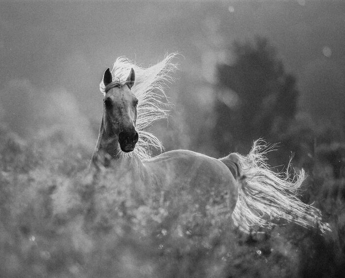 Когда природа решила, что она &ndash; лучший фотограф: 16 фотографий победителей, которые восхищают и удивляют
