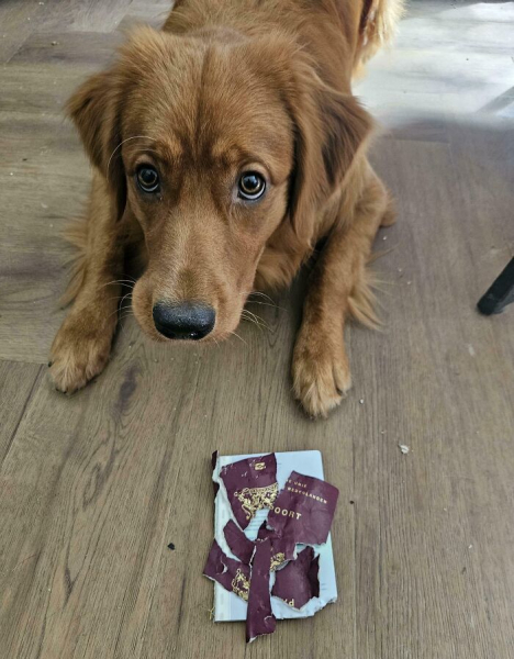 Не день, а сплошной провал: 17 доказательств, что у кого-то день прошел всё же хуже, чем у Вас