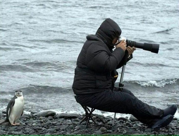 18 фотографий животных, которые могут согреть ваше сердце и подниму вам настроение