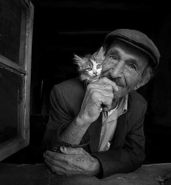 Городские звери: уличная фотопоэзия. Захватывающие фотографии, посвященные животным