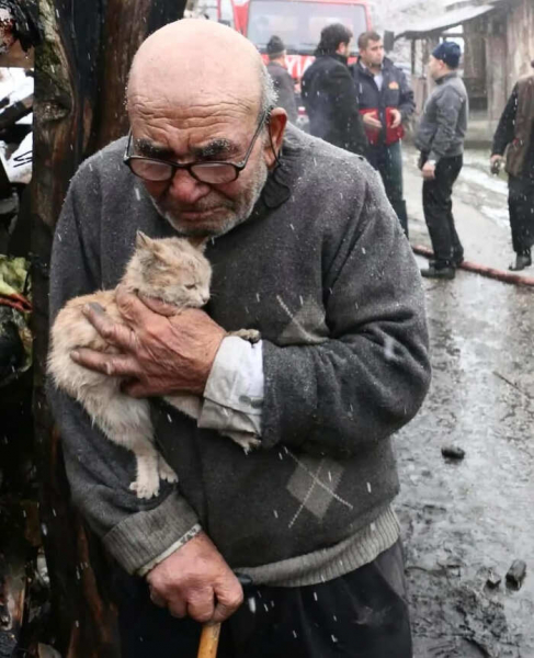 Городские звери: уличная фотопоэзия. Захватывающие фотографии, посвященные животным