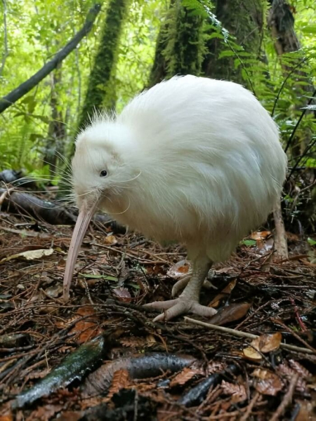 Чувствуете себя подавленным? Эти 16 трогательных фото историй могут вернуть вам веру в человечество