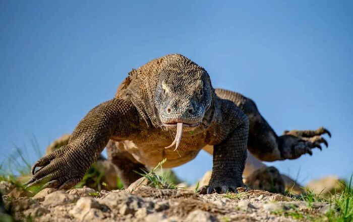 Король тайминга: 16 фото, на которых природа застала себя врасплох