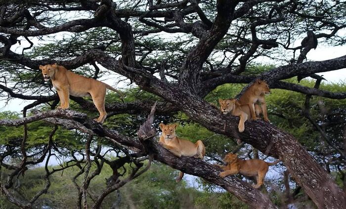 Король тайминга: 16 фото, на которых природа застала себя врасплох